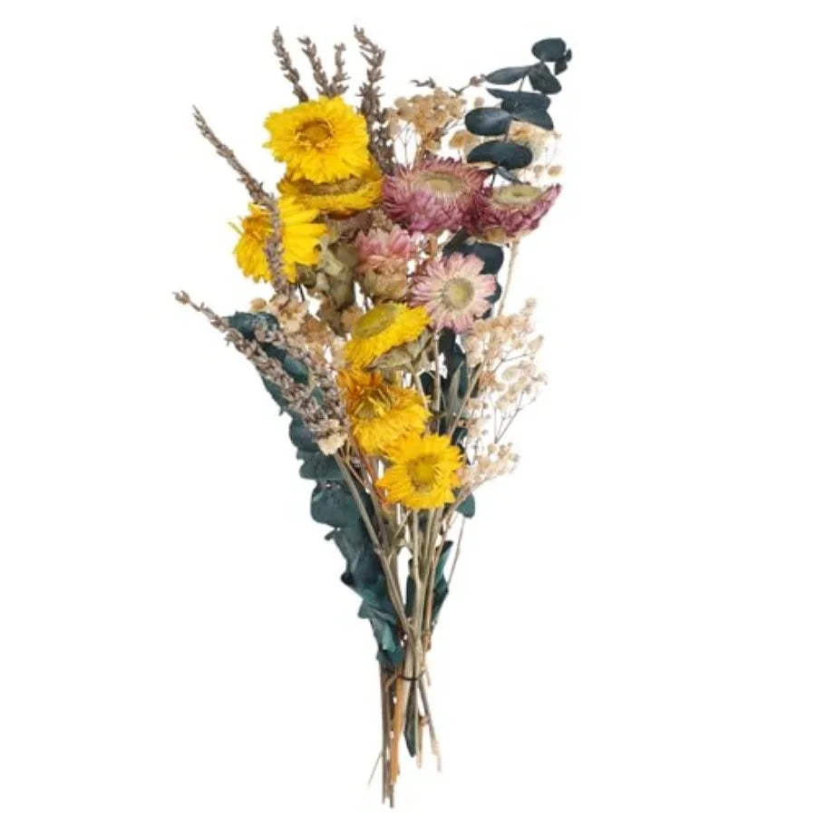 Dried Flowers Set with Baby's Breath Eucalyptus