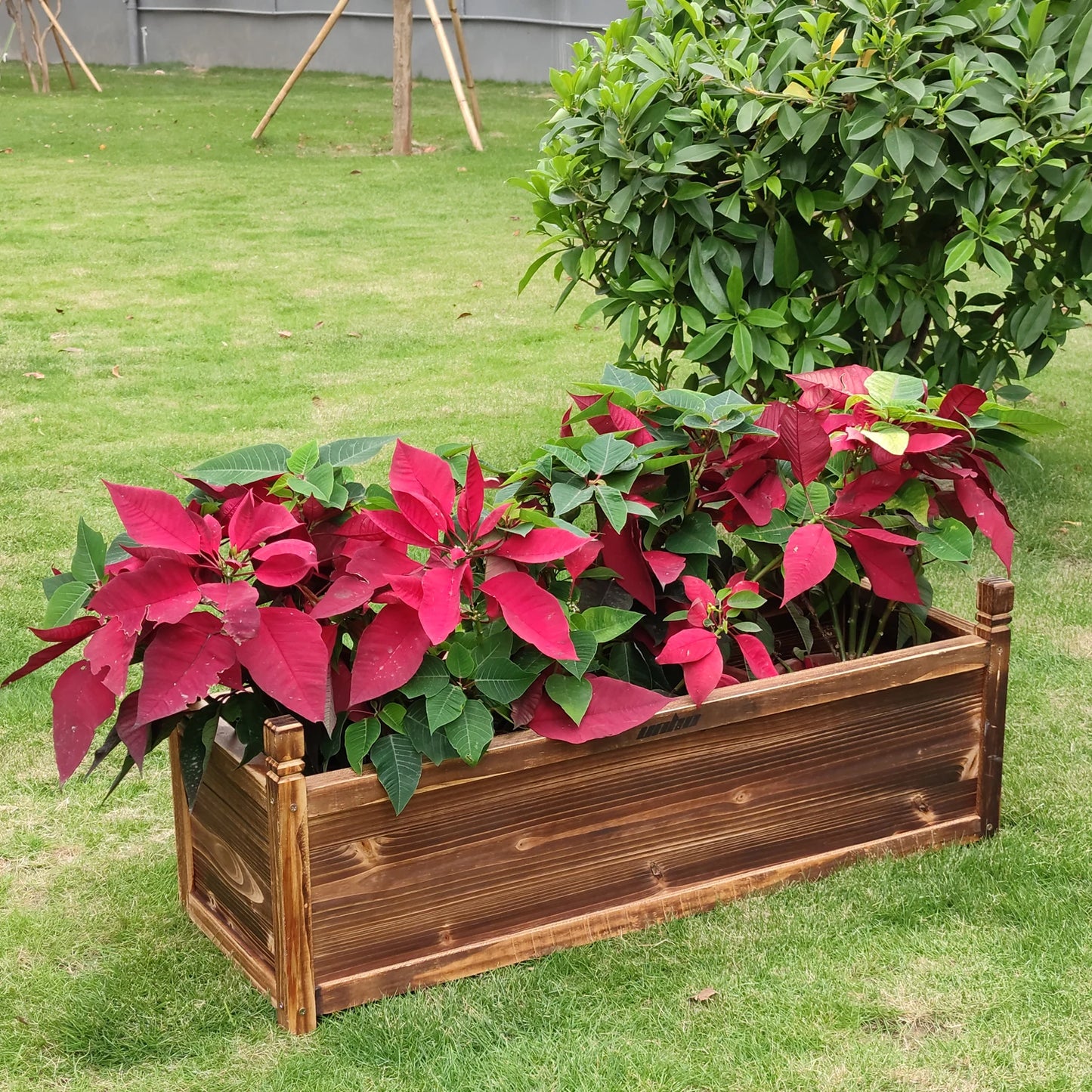 Flower Vegetable Window Mounted Plant Box Garden