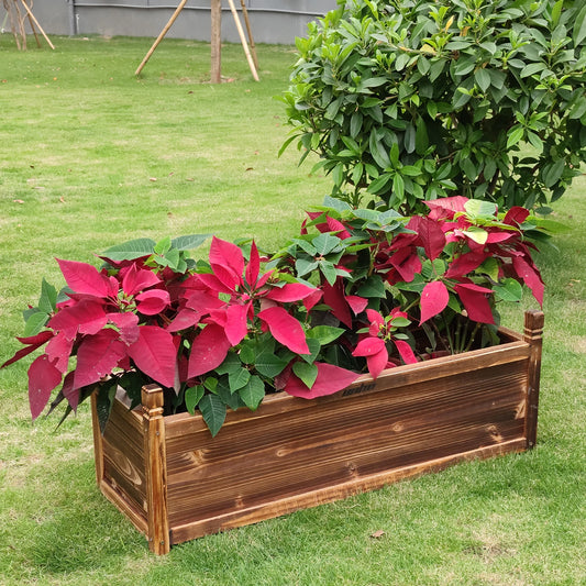 Flower Vegetable Window Mounted Plant Box Garden