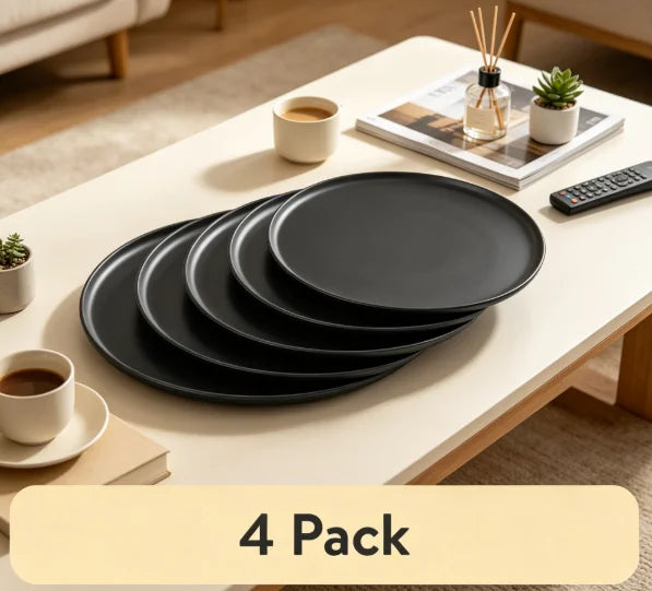 Matte Black Stoneware 4-Piece Dinner Plate Set