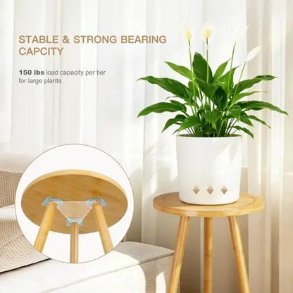 Bamboo Two-Level Plant Stand
