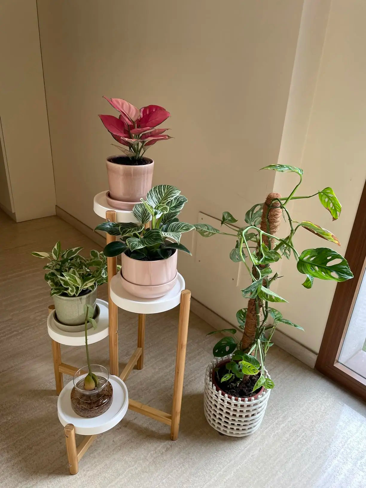 Display Shelf Stand Bamboo Plant Pot Holder