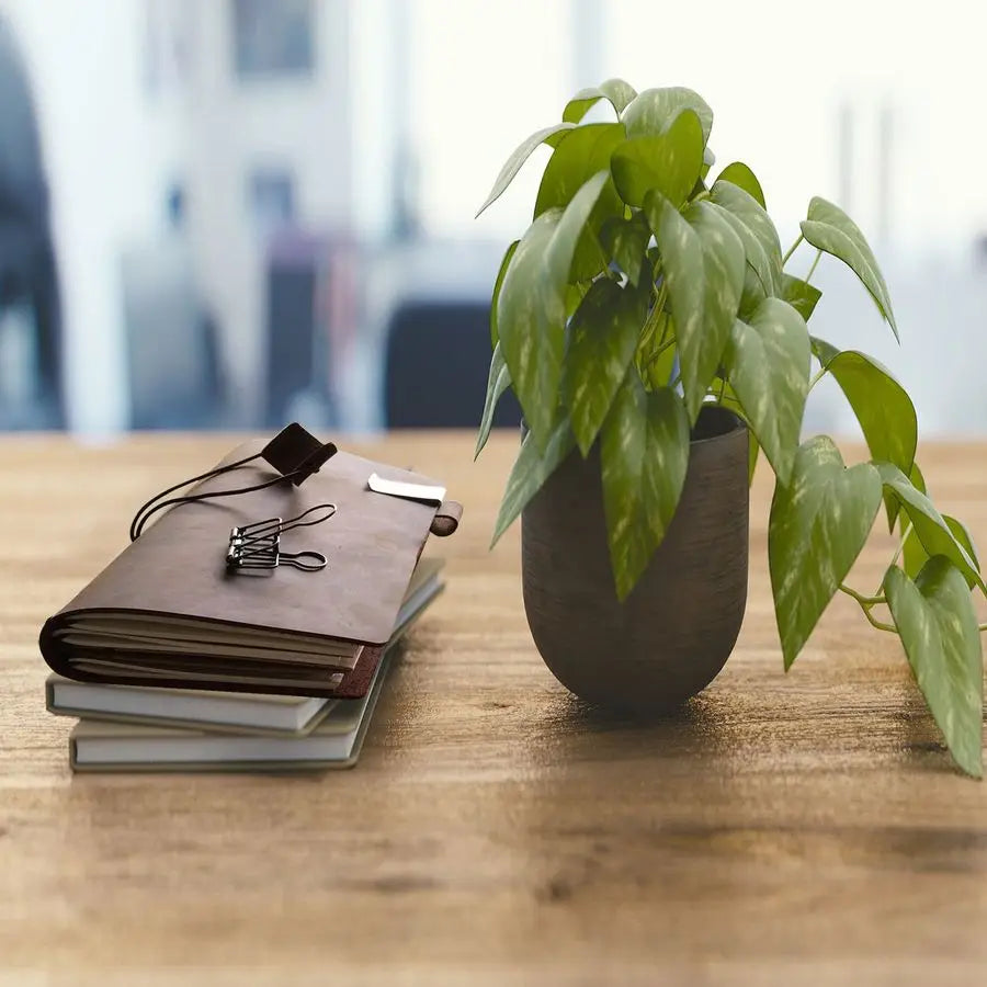 Refillable Leather Journal Travelers with Pen