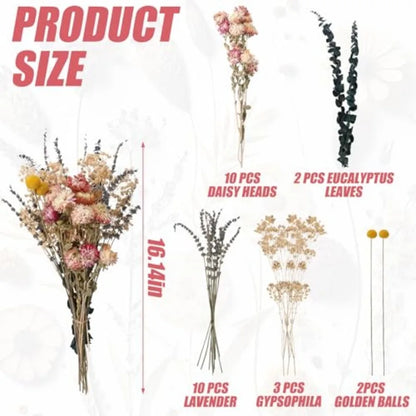 Dried Flowers Set with Baby's Breath Eucalyptus
