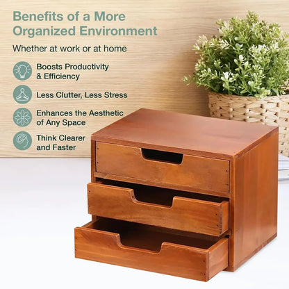 Desktop Storage Organizer in Natural Wood Design
