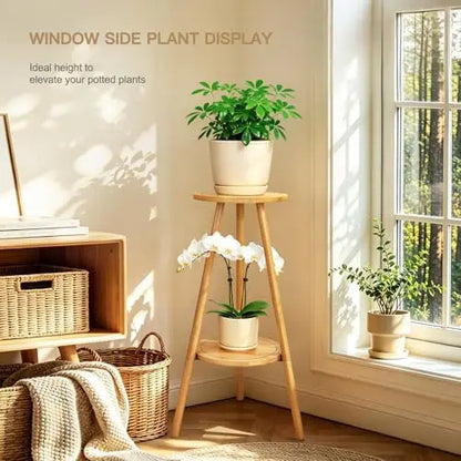 Bamboo Two-Level Plant Stand