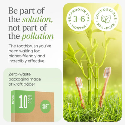 Biodegradable Bamboo Natural Wooden Toothbrush