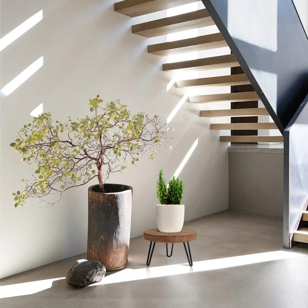 Wooden Plant Stand Indoor Outdoor Rustic Stool