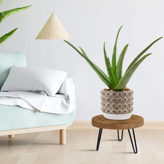 Wooden Plant Stand Indoor Outdoor Rustic Stool