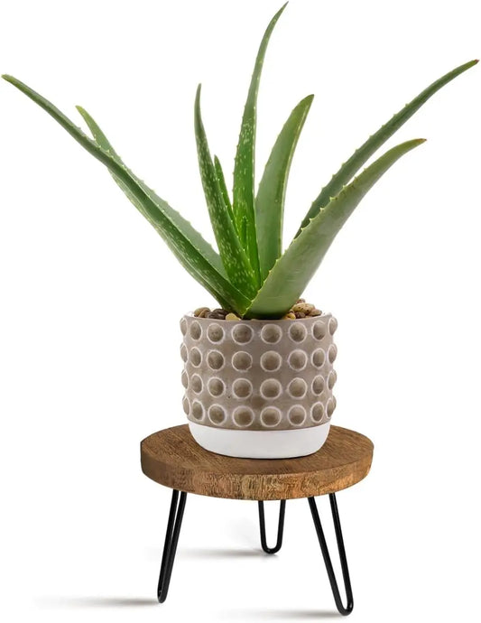 Wooden Plant Stand Indoor Outdoor Rustic Stool