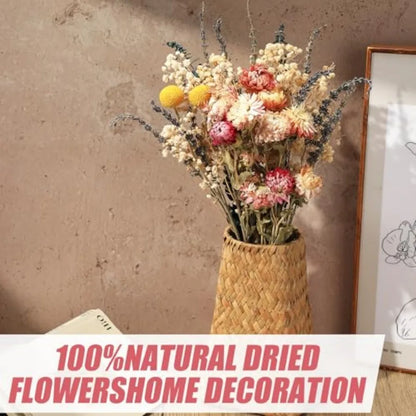 Dried Flowers Set with Baby's Breath Eucalyptus