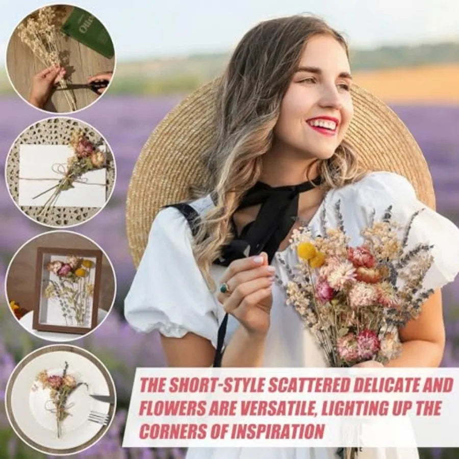 Dried Flowers Set with Baby's Breath Eucalyptus