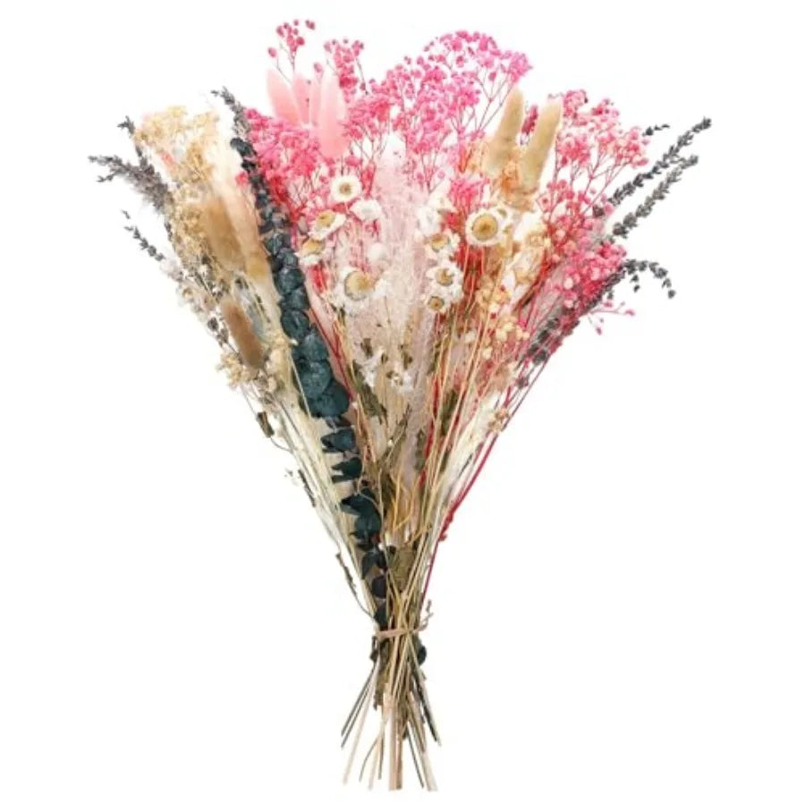 Dried Flowers Set with Baby's Breath Eucalyptus